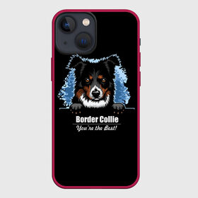 Чехол для iPhone 13 mini с принтом Бордер Колли (Border Collie) в Екатеринбурге,  |  | Тематика изображения на принте: animal | border collie | dog | бордер колли | год собаки | друг человека | животное | зверь | ищейка | кинолог | кость | овчарка | пастушья собака | пёс | порода собак | собака бордер колли | собаковод