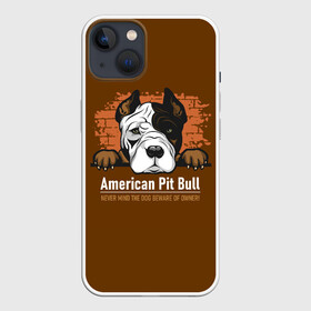 Чехол для iPhone 13 с принтом Американский Питбультерьер (Pit Bull Terrier) в Екатеринбурге,  |  | american pit bull terrier | boxer | bulldog | fighting dog | pit bull | американский питбультерьер | бойцовская собака | бойцовский пес | боксер | бульдог | волкодав | друг человека | кинолог | пес | питбуль | питбультерьер