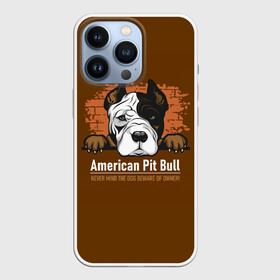 Чехол для iPhone 13 Pro с принтом Американский Питбультерьер (Pit Bull Terrier) в Екатеринбурге,  |  | american pit bull terrier | boxer | bulldog | fighting dog | pit bull | американский питбультерьер | бойцовская собака | бойцовский пес | боксер | бульдог | волкодав | друг человека | кинолог | пес | питбуль | питбультерьер