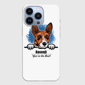 Чехол для iPhone 13 Pro с принтом Собака Басенджи в Екатеринбурге,  |  | african dog | animal | basenji | congo terrier | dog | африканская собака | басенджи | год собаки | друг человека | животное | зверь | кинолог | конго терьер | пёс | собака басенджи | собаковод | четвероногий
