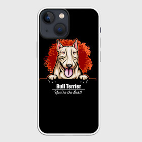 Чехол для iPhone 13 mini с принтом Собака Бультерьер в Екатеринбурге,  |  | bull terrier | bulldog | dog | fighting dog | pit bull | terrier | бойцовская собака | бульдог | бультерьер | год собаки | друг человека | животное | зверь | кинолог | кость | пёс | питбуль | порода собак | собака