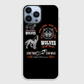 Чехол для iPhone 13 Pro Max с принтом Wolves в Екатеринбурге,  |  | gray wolf | predator | the beast | volkolak | wolf | wolfhound | волк | волкодав | волколак | волчара | вурдалак | зверь | зов волка | морской волк | оборотень | оскал | рисунок волка | санитар леса | серый волк | хищник