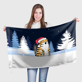Флаг 3D с принтом Удивленный тигр 2022 в Екатеринбурге, 100% полиэстер | плотность ткани — 95 г/м2, размер — 67 х 109 см. Принт наносится с одной стороны | 2022 | год тигра | новый год | новый год 2022 | символ года | тигр | тигренок | тигрица | тигры