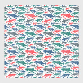 Магнитный плакат 3Х3 с принтом Разноцветные Акулы в Екатеринбурге, Полимерный материал с магнитным слоем | 9 деталей размером 9*9 см | fish | ocean | predator | shark | white shark | акула | белая акула | зубы | море | морской хищник | океан | рыба | хищная рыба | хищник