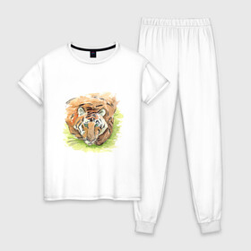 Женская пижама хлопок с принтом Портрет тигра с зелёными глазами в Екатеринбурге, 100% хлопок | брюки и футболка прямого кроя, без карманов, на брюках мягкая резинка на поясе и по низу штанин | 2022 | глаза | животное | зверь | китайский календарь | кошка | новый год | оранжевый | полоски | символ года | тигр | хищник