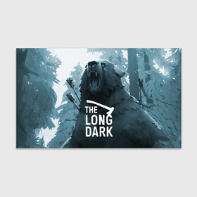 Бумага для упаковки 3D с принтом The Long Dark (медведь) в Екатеринбурге, пластик и полированная сталь | круглая форма, металлическое крепление в виде кольца | the long dark | выживание | выживший | долгая тьма | зима | игры | лес | медведь | топор