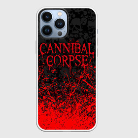 Чехол для iPhone 13 Pro Max с принтом CANNIBAL CORPSE, БРЫЗГИ КРАСОК   ЧЕРЕПА в Екатеринбурге,  |  | bones | cannibal | cannibal corpse | corpse | death metal | deathgrind | skull | алекс уэбстер | брутальный дэт метал | дэт метал | дэтграйнд | каннибал корпс | кеннибал корпс | кэннибал корпс | пол мазуркевич | роб барретт | скелет