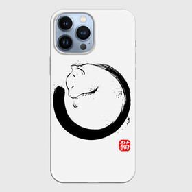 Чехол для iPhone 13 Pro Max с принтом Котик на тебе спит в Екатеринбурге,  |  | Тематика изображения на принте: cat | cats | киса | киска | кот | котенок | коты | кошечка | кошка | кошки | мем | мем с котом | феншуй