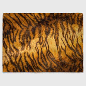 Плед 3D с принтом Шкура тигра 2022 в Екатеринбурге, 100% полиэстер | закругленные углы, все края обработаны. Ткань не мнется и не растягивается | 2022 | год тигра | новый год | новый год 2022 | символ года | тигр | тигренок | тигрица | тигры