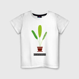 Детская футболка хлопок с принтом Растение в горшке Восхитительно в Екатеринбурге, 100% хлопок | круглый вырез горловины, полуприлегающий силуэт, длина до линии бедер | дом | интерьер | листья | растение | растение в горшке | уют | флора | цветок