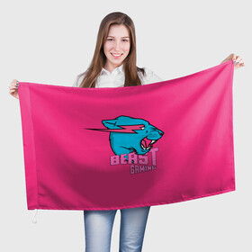 Флаг 3D с принтом Mr Beast Gaming Full Print (Pink edition) в Екатеринбурге, 100% полиэстер | плотность ткани — 95 г/м2, размер — 67 х 109 см. Принт наносится с одной стороны | gamer | games | gaming | mr beast | mrbeast | youtube | блогеры | игры | мистер бист | ютуберы