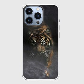 Чехол для iPhone 13 Pro с принтом Тигр в тумане в Екатеринбурге,  |  | tiger | восточный тигр | год тигра | голова | дым | кошка | тигр | тигренок | туман | хищник