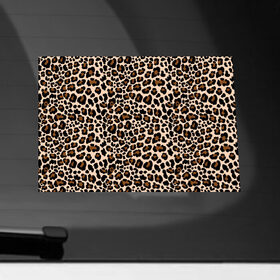 Наклейка на автомобиль с принтом Леопардовые Пятна в Екатеринбурге, ПВХ |  | jaguar | leopard | ocelot | predator | гепард | дикая кошка | животное | зверь | кот | леопард | леопардовые пятна | оцелот | хищная кошка | хищник | ягуар