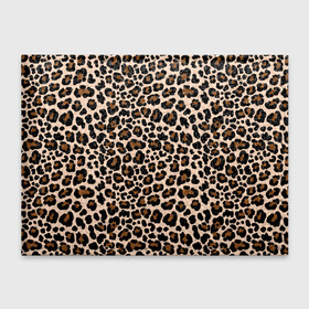 Обложка для студенческого билета с принтом Леопардовые Пятна в Екатеринбурге, натуральная кожа | Размер: 11*8 см; Печать на всей внешней стороне | Тематика изображения на принте: jaguar | leopard | ocelot | predator | гепард | дикая кошка | животное | зверь | кот | леопард | леопардовые пятна | оцелот | хищная кошка | хищник | ягуар