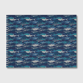 Альбом для рисования с принтом Хищные Акулы в Екатеринбурге, 100% бумага
 | матовая бумага, плотность 200 мг. | fish | ocean | predator | shark | white shark | акула | белая акула | зубы | море | морской хищник | океан | рыба | хищная рыба | хищник