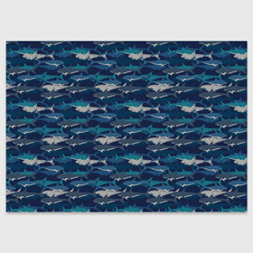 Поздравительная открытка с принтом Хищные Акулы в Екатеринбурге, 100% бумага | плотность бумаги 280 г/м2, матовая, на обратной стороне линовка и место для марки
 | fish | ocean | predator | shark | white shark | акула | белая акула | зубы | море | морской хищник | океан | рыба | хищная рыба | хищник