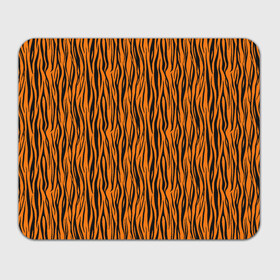 Прямоугольный коврик для мышки с принтом Тигровые Полосы в Екатеринбурге, натуральный каучук | размер 230 х 185 мм; запечатка лицевой стороны | animal | beast | cat | predator | tiger | амурский тигр | белый тигр | год тигра | животное | зверь | кот | полосатая кошка | саблезубый тигр | тигр | хищник | царь джунглей | шерхан