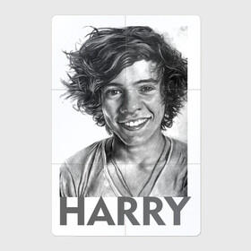 Магнитный плакат 2Х3 с принтом Harry  Styles в Екатеринбурге, Полимерный материал с магнитным слоем | 6 деталей размером 9*9 см | harry edward styles | британец | бритпопо | гарри стайлс | дирекшин | дирекшины
