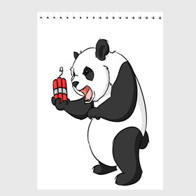 Скетчбук с принтом Взрывная панда в Екатеринбурге, 100% бумага
 | 48 листов, плотность листов — 100 г/м2, плотность картонной обложки — 250 г/м2. Листы скреплены сверху удобной пружинной спиралью | bomb | dinamit | panda | бомба | динамит | животное | панда