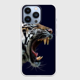 Чехол для iPhone 13 Pro с принтом Оскал тигра | Большая кошка в Екатеринбурге,  |  | 2022 | big teeth | fangs | grin | tiger | tigr | tigris | большая кошка | большие зубы | клыки | новый год | оскалиться | острые клыки | полосатая кошка | скалить | скалить зубы | тигр