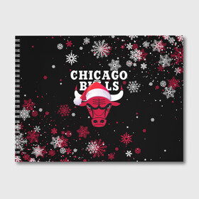 Альбом для рисования с принтом НОВОГОДНИЙ CHICAGO BULLS 2022 СНЕЖИНКИ в Екатеринбурге, 100% бумага
 | матовая бумага, плотность 200 мг. | 2022 | 23 | basketball | bulls | chicago bulls | jordan | logo | michael jordan | nba | red | sport | баскетбол | быки | джордан | лого | майкл джордан | новогодний чикаго булс | новый год | спорт | чикаго буллс | чикаго булс новый год