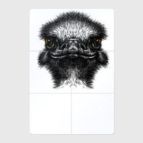 Магнитный плакат 2Х3 с принтом Страуса огненный взгляд в Екатеринбурге, Полимерный материал с магнитным слоем | 6 деталей размером 9*9 см | австралия | африка | глаза | животные | природа | птица | рыжие глаза | страус | хищник