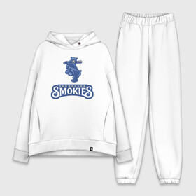 Женский костюм хлопок Oversize с принтом Tennessee smokies - baseball team в Екатеринбурге,  |  | baseball | bat | bear | team | tennessee | usa | бейсбол | бита | медведь