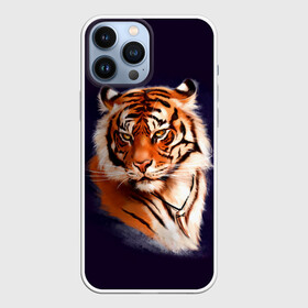 Чехол для iPhone 13 Pro Max с принтом Грозный Тигр | Символ 2022 Года | Tiger Beast в Екатеринбурге,  |  | Тематика изображения на принте: 2022 | beast | black | cat | christmas | merry | new year | tiger | xmas | водяной | год тигра | животные | зверь | когти | кот | кошки | новый год | огонь | паттерн | полосатый | рождество | тигр | узор | чб | черный