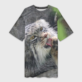 Платье-футболка 3D с принтом Манул  Лапка в Екатеринбурге,  |  | Тематика изображения на принте: cat | cats | всеядный | детеныш | дикие | звери | зверята | кот | котик | лапка | манул | медведь | милый | природа | хищник