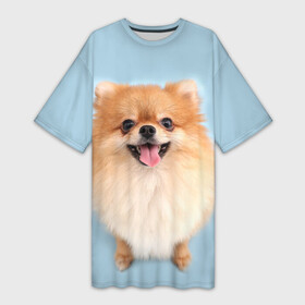 Платье-футболка 3D с принтом Щенок Померанского Шпица в Екатеринбурге,  |  | голубая | померанский | рыжий | с принтом собаки | с собаками | с собакой | со шпицем | со щенком | собака | шпиц | щенок