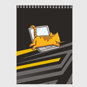 Скетчбук с принтом Котик лежит на ноутбуке в Екатеринбурге, 100% бумага
 | 48 листов, плотность листов — 100 г/м2, плотность картонной обложки — 250 г/м2. Листы скреплены сверху удобной пружинной спиралью | кот | кот на ноутбуке | котенок | котик | кошка | ноут | ноутбук | сон