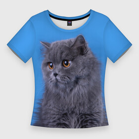 Женская футболка 3D Slim с принтом Британская длинношерстная кошка в Екатеринбурге,  |  | british cat | английская кошка | британец | британская вислоухая кошка | британская кошка | британский кот | вислоухий британец | вислоухий котенок британец | кот британец | котенок британец