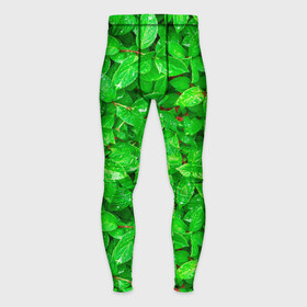 Мужские тайтсы 3D с принтом Зелёные листья  текстура в Екатеринбурге,  |  | зелёные | лето | листья | паттерн | текстура