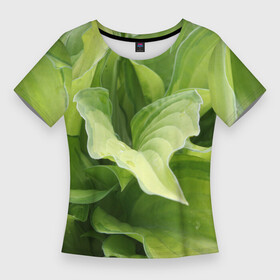 Женская футболка 3D Slim с принтом Зеленые листья после дождя в Екатеринбурге,  |  | абстракция | вода | дача | дождь | зеленая | зеленый | изгиб | камуфляж | капля | лето | лист | листок | листья | маскировка | природа | растение | участок | фазенда | цветовод | цветоводство