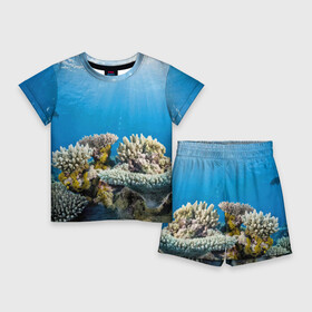 Детский костюм с шортами 3D с принтом Кораллы в тропических водах индийского океана в Екатеринбурге,  |  | bottom | coral | fish | ocean | tropics | дно | коралл | океан | рыба | тропики