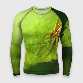 Мужской рашгард 3D с принтом Страшный паук на зеленом листе в Екатеринбурге,  |  | arachnid | horror | арахнид | зеленый | лапы | лист | листва | монстр | насекомое | паук | пауки | природа | ужас | фобия | хоррор | чудовище | щупальца