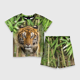 Детский костюм с шортами 3D с принтом Матёрый тигр в зарослях бамбука в Екатеринбурге,  |  | eyes | jungle | moustache | muzzle | nose | skin | tiger | глаза | джунгли | нос | тигр | усы