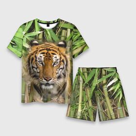 Мужской костюм с шортами 3D с принтом Матёрый тигр в зарослях бамбука в Екатеринбурге,  |  | eyes | jungle | moustache | muzzle | nose | skin | tiger | глаза | джунгли | нос | тигр | усы