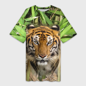Платье-футболка 3D с принтом Матёрый тигр в зарослях бамбука в Екатеринбурге,  |  | eyes | jungle | moustache | muzzle | nose | skin | tiger | глаза | джунгли | нос | тигр | усы
