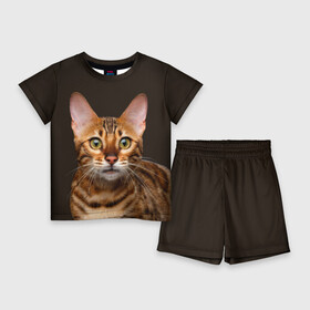 Детский костюм с шортами 3D с принтом Молодая бенгальская кошка в Екатеринбурге,  |  | Тематика изображения на принте: bengal | cat | cats | kitty | бенгал | бенгальская | бенгальская кошка | бенгальские | бенгальский | кот | котёнок | котята | кошка | леопард | леопардовая | леопардовый