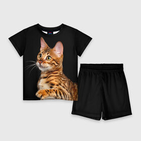 Детский костюм с шортами 3D с принтом Бенгальский котёнок на чёрном фоне в Екатеринбурге,  |  | Тематика изображения на принте: bengal | cat | cats | kitty | бенгал | бенгальская | бенгальская кошка | бенгальские | бенгальский | кот | котёнок | котята | кошка | леопард | леопардовая | леопардовый