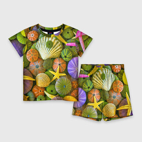 Детский костюм с шортами 3D с принтом Композиция из морских звёзд и ракушек в Екатеринбурге,  |  | color | composition | shell | starfish | композиция | морская звезда | ракушка | цвет