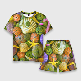 Мужской костюм с шортами 3D с принтом Композиция из морских звёзд и ракушек в Екатеринбурге,  |  | color | composition | shell | starfish | композиция | морская звезда | ракушка | цвет