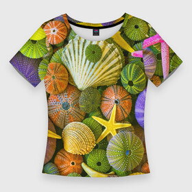 Женская футболка 3D Slim с принтом Композиция из морских звёзд и ракушек в Екатеринбурге,  |  | color | composition | shell | starfish | композиция | морская звезда | ракушка | цвет